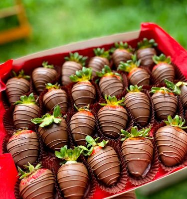 Fresas Bañadas en Chocolate: Un Delicioso Bocado de Lujo