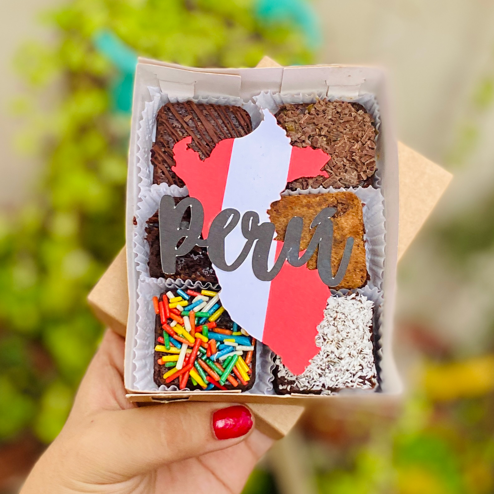 IMG_4251 Seis postres decorados con toppings y toppers de la silueta del Perú, empaquetados en una caja ecológica con opción de sticker personalizado.
