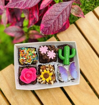 Mini Six Dulce Brotar con Fondant - Edición Primavera