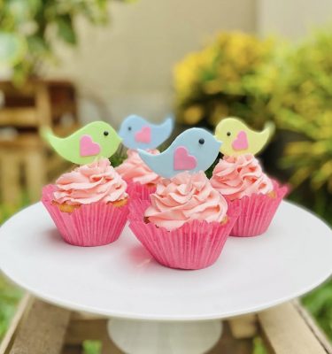 Set de 6 cupcakes de vainilla y chocolate decorados con fondant en forma de pajaritos de colores, empaquetados en una caja blanca con ventana.