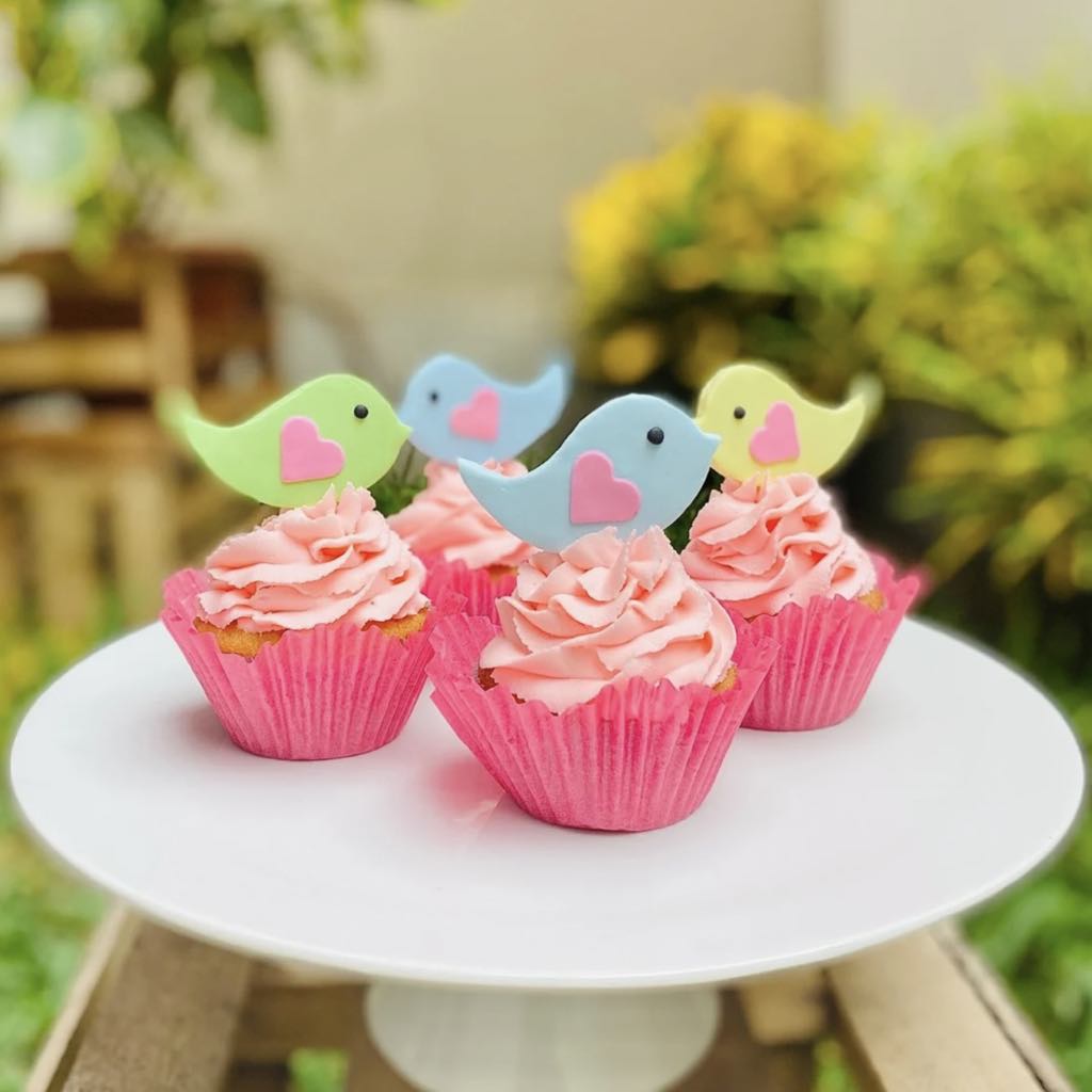 UJirSPzV Set de 6 cupcakes de vainilla y chocolate decorados con fondant en forma de pajaritos de colores, empaquetados en una caja blanca con ventana.