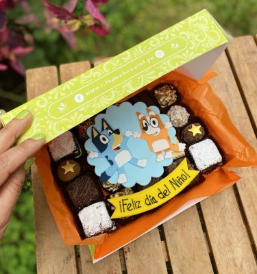 Mix Box Bluey con 20 postrecitos surtidos decorados con fondant, empaquetado en una caja verde con tramas vintage.